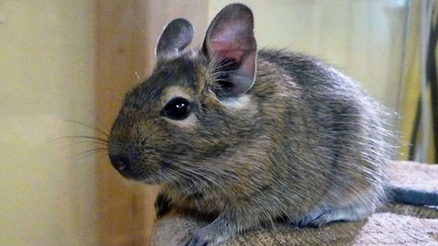 Máte mě! - 6. března 2011