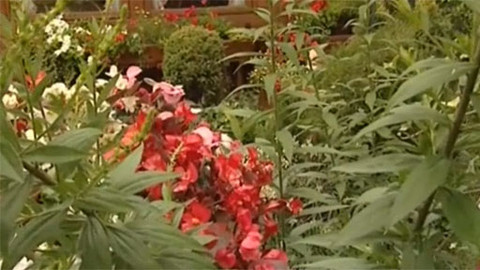 Zahrada je hra - 11. ledna 2007