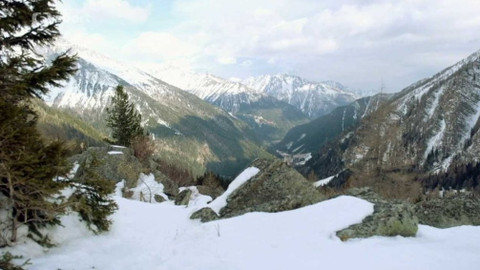 Vertikal - 15. listopadu 2017