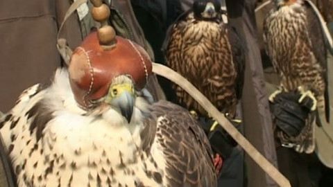 Tisíc let české myslivosti - 6. května 2011