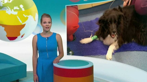 Zprávičky - 19. června 2017