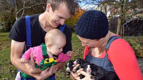 Malá farma - Štěňata a tele