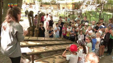 Zprávičky - 10. srpna 2022