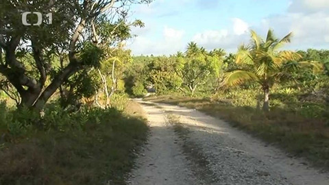 Objektiv - 24. února 2013