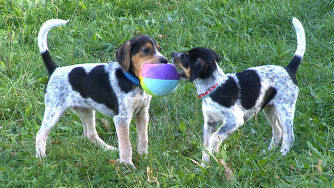 Chcete mě? - 6. prosince 2015