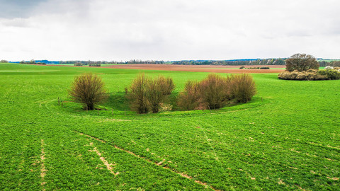 Krajinou domova - 13/13 Obnova krajiny domova