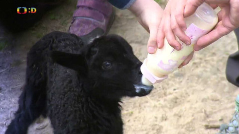 Zprávičky - 16. května 2023