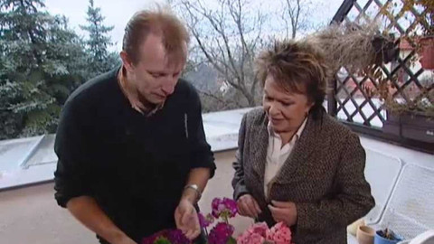 Dobrá rada nad zlato - 4. dubna 2009