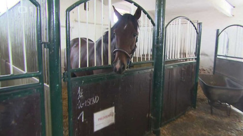 Z metropole - 9. listopadu 2019