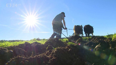 Regiony ČT24 - 29. října 2022