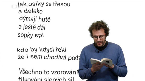 Jedna báseň - Lukáš Zádrapa