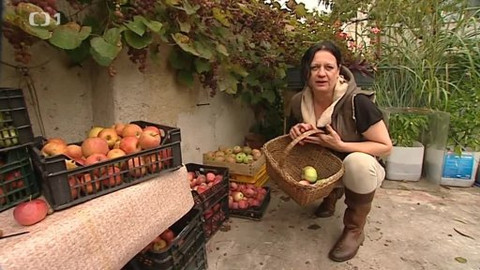 Černé ovce - 7. října 2014