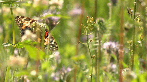 Dobrodružství vědy a techniky - High-tech v zoologii