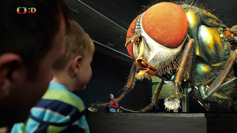 Zprávičky - 30. října 2023