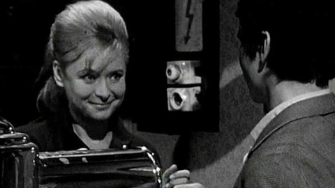 Hostinec U koťátek - 5/6 Koťátka s kulturou