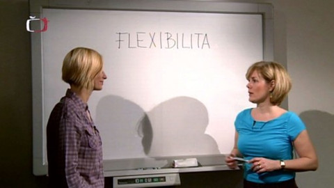 Hledám práci - 15. února 2011