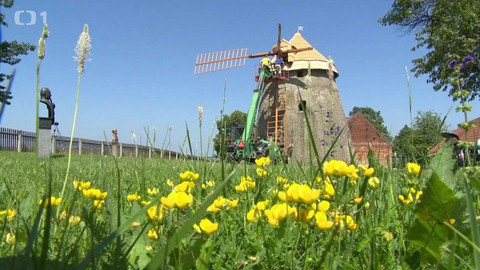 Týden v regionech (Brno) - 29. června 2019