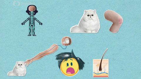 To je něco! - Proč stříhání vlasů nebolí?