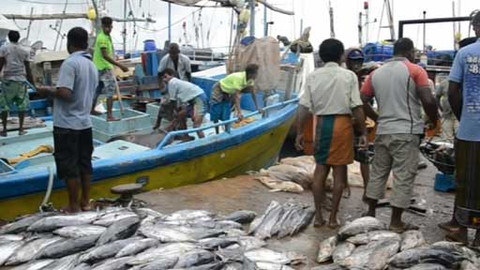 Objektiv - 31. května 2015