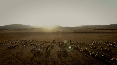 Největší apokalypsy dějin - 4/6 Akkadská říše