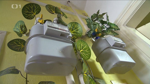 Černé ovce - 8. března 2021