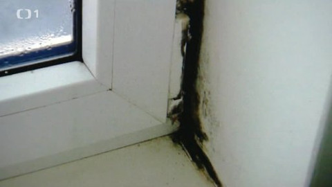 Černé ovce - 19. února 2014