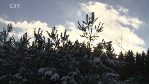 Nedej se! - Těžba uranu, aneb k jádru věci