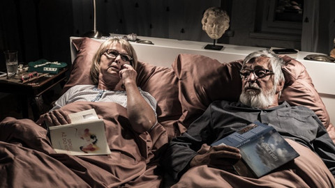 ČT na MFF Karlovy Vary - Beseda k filmu Teorie tygra