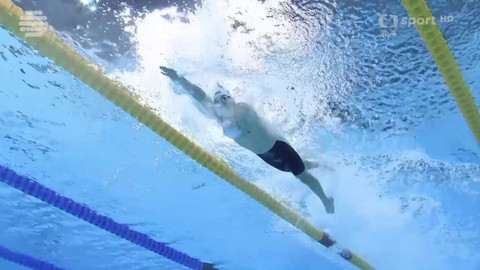 MS v plavání 2025 Singapur - MS Singapur