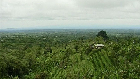 Cestománie - Indonésie