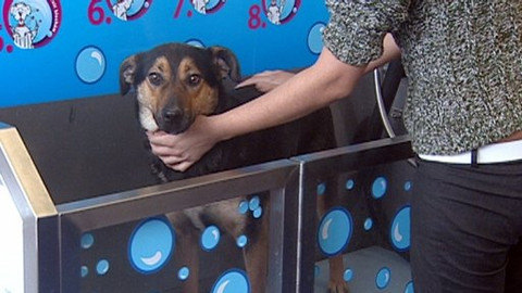 Chcete mě? - 7. dubna 2009