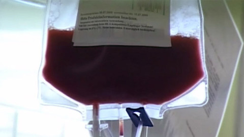 Medicína pro 21. století - Transplantace kostní dřeně