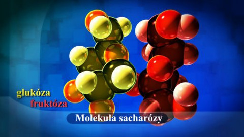 PORT - 20. dubna 2012