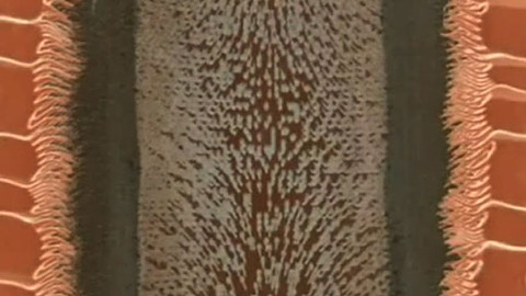 Tep 24 - 7. ledna 2012