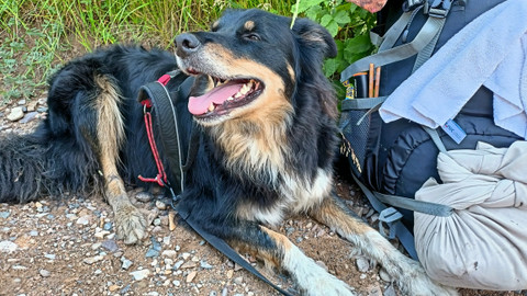 Test iV - Test iV 2025