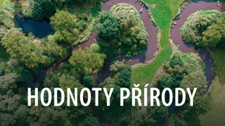 Hodnoty přírody