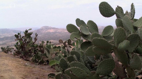 Etiopie - Debre Damo