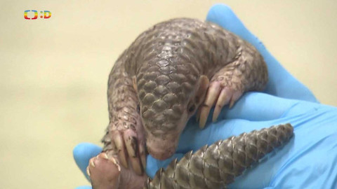 Zprávičky - 27. března 2023