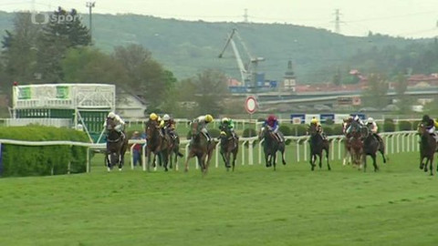 Turf - 6. května 2015