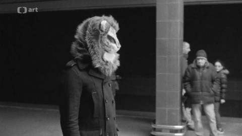 Průvan - Kameramanská škola