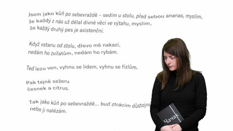 Jedna báseň - Alžběta Stančáková