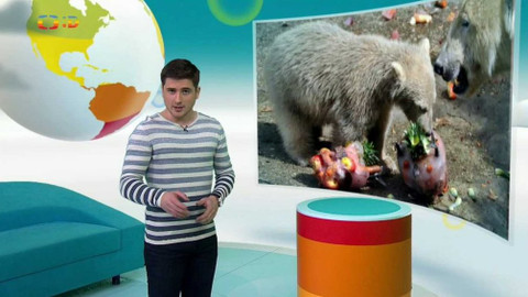 Zprávičky - 30. prosince 2017