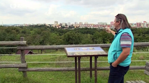 Nedej se! - Hostivařská oáza se rozšiřuje