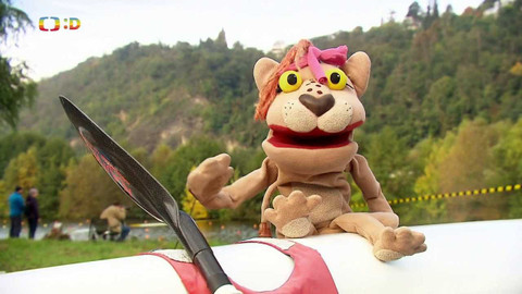 Lvíčata - 29. října 2022