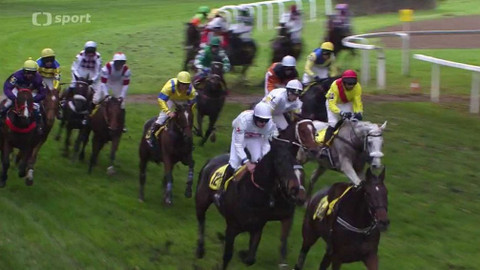 Velká pardubická - historie - 2014