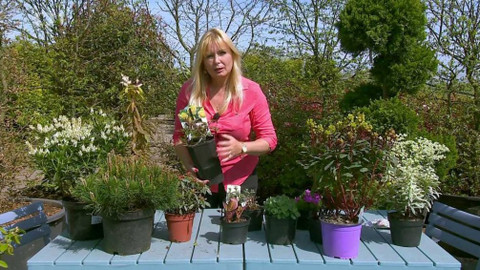 Polopatě - 3. května 2020