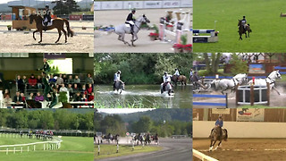 Koně a sport 2026