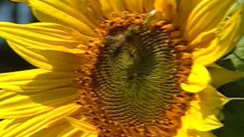 Přidej se - Portrét profesora Ruska