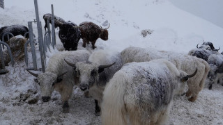 Na cestě po Tridentsku