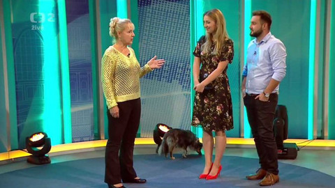 Dobré ráno - 25. října 2018